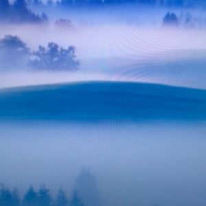 Meet your Posher, Raelynn